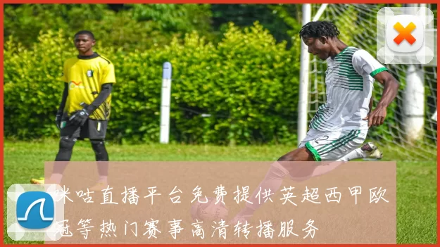 咪咕直播平台免费提供英超西甲欧冠等热门赛事高清转播服务